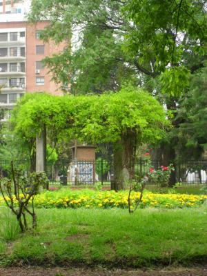 De parques y m&iacute;nimas cuestiones...